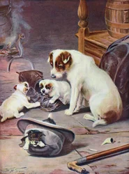 Eine vielversprechende Familie